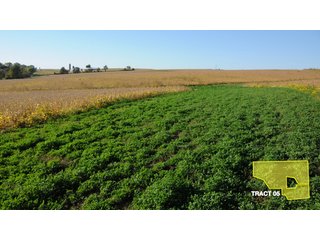 Property photo 12 - 1,153 +/- Acres offered in 15 TractsLAND AUCTION